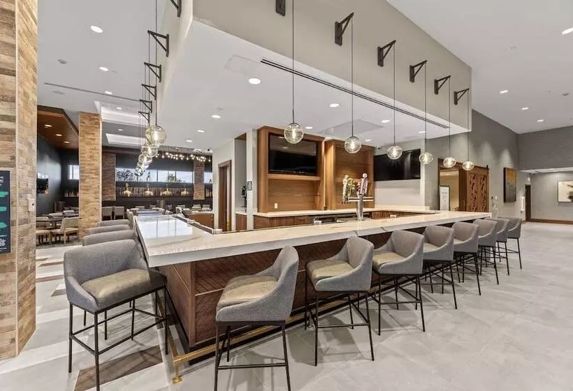 ホテル Embassy Suites By Hilton Irving Las Colinas