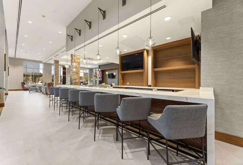 ホテル Embassy Suites By Hilton Irving Las Colinas