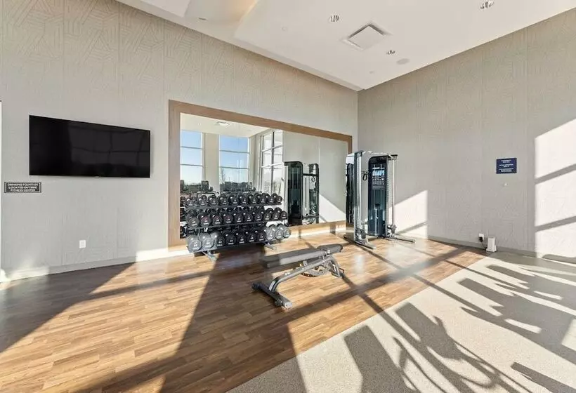 ホテル Embassy Suites By Hilton Irving Las Colinas