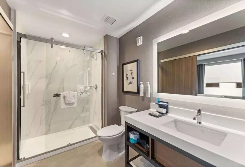 ホテル Embassy Suites By Hilton Irving Las Colinas