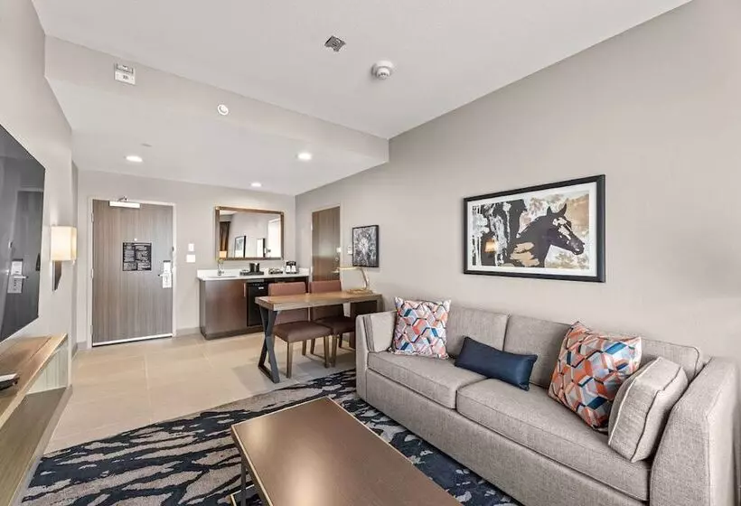 ホテル Embassy Suites By Hilton Irving Las Colinas