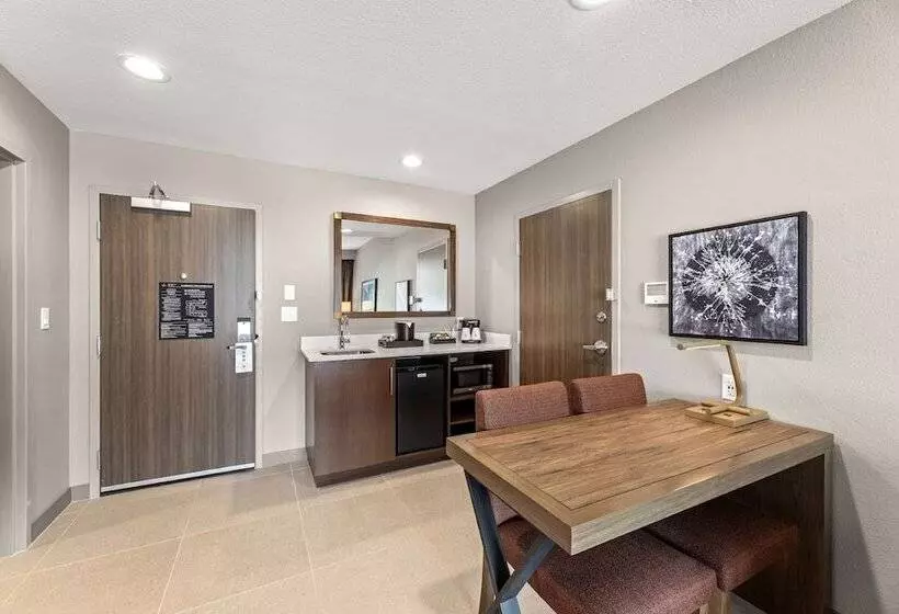 ホテル Embassy Suites By Hilton Irving Las Colinas
