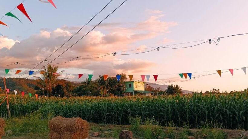 ペンション ที่พักสีเขียว