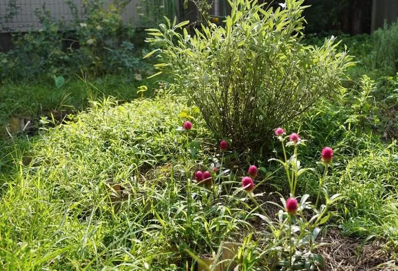 Majatalo Amigo House