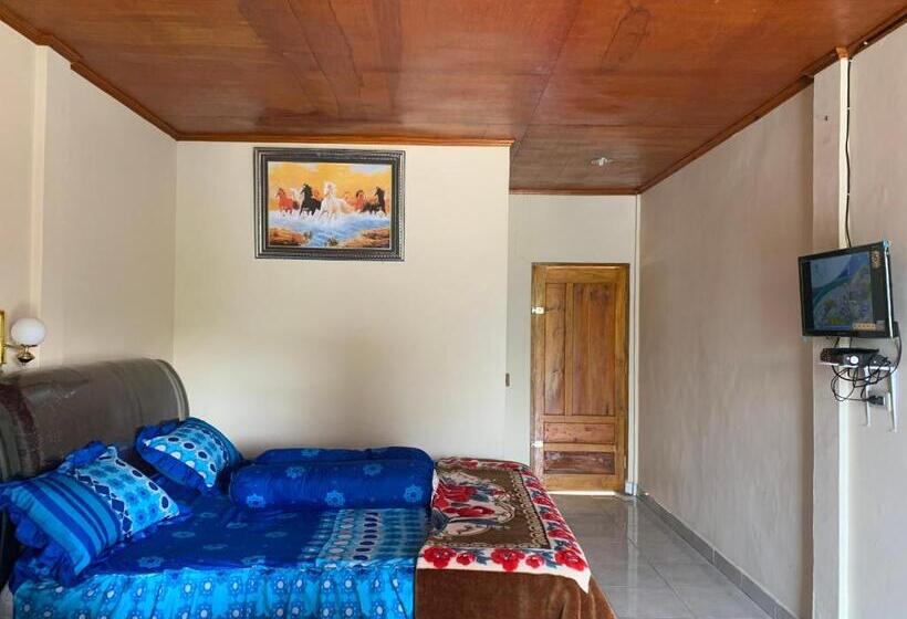 بنسيون Anna’s