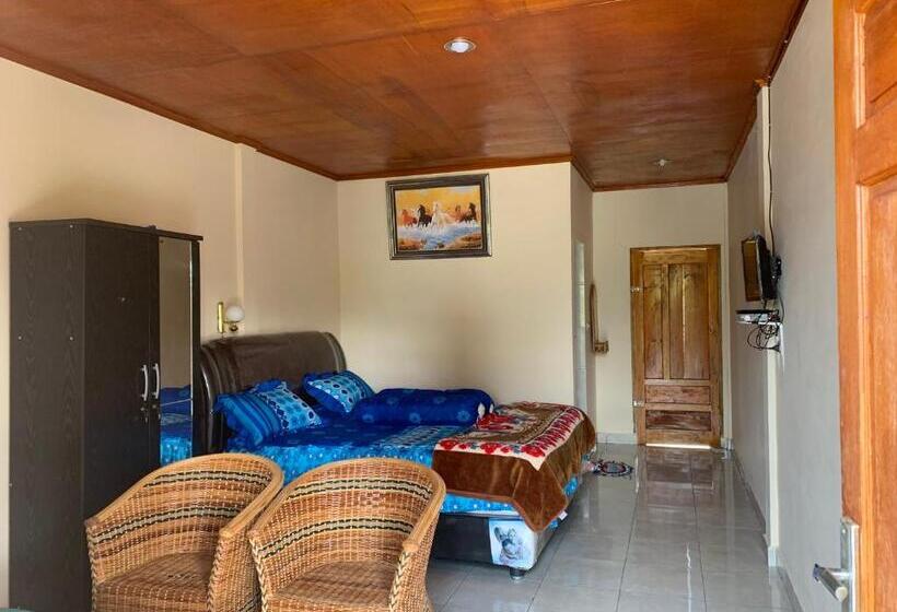 بنسيون Anna’s