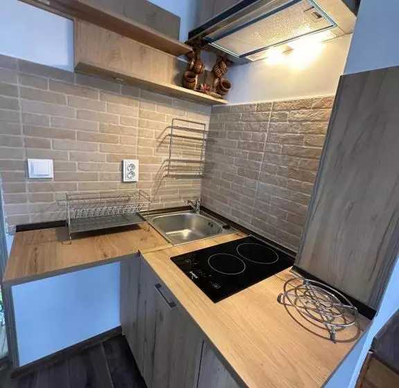 ペンション Casa Rares Busteni