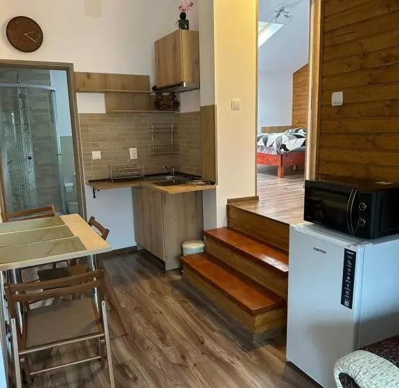 ペンション Casa Rares Busteni
