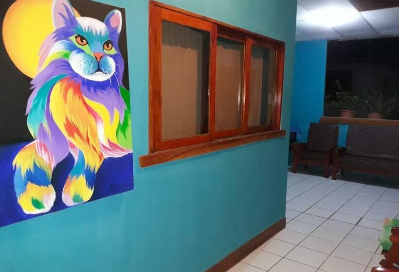 פנסיון Hostal Javier S House Sjs