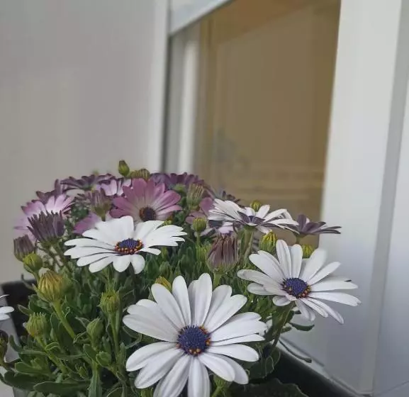 ペンション La Villa Del Sastre