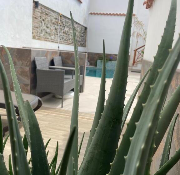 פנסיון La Villa Del Sastre