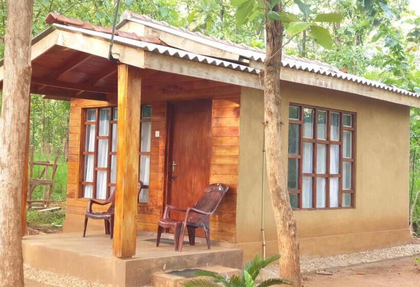 Pensão Mini Jungle Canopy Udawalawe