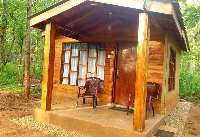 Pensão Mini Jungle Canopy Udawalawe