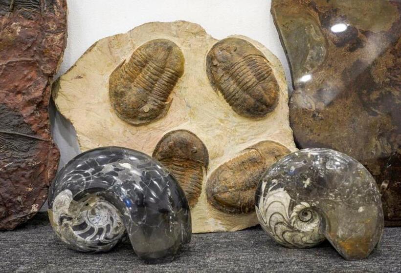 旅馆 Yakout Merzouga Luxury Camp