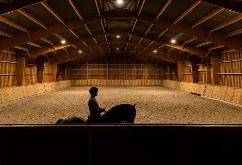 Aamiaismajoitus (B&B) B@b Martinushoeve