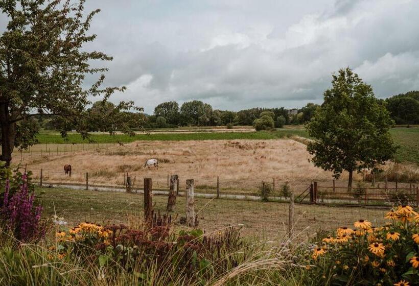 تختخواب و صبحانه B@b Martinushoeve