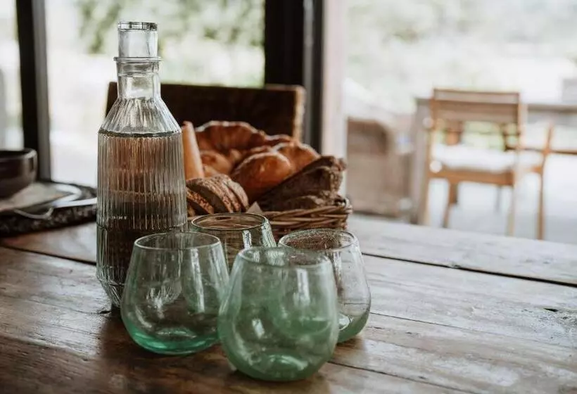 Aamiaismajoitus (B&B) B@b Martinushoeve