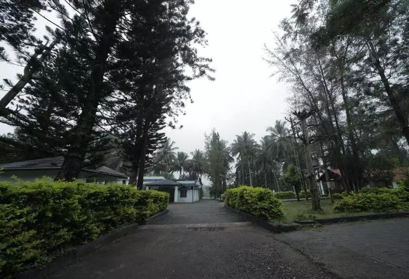 Green Park Resort