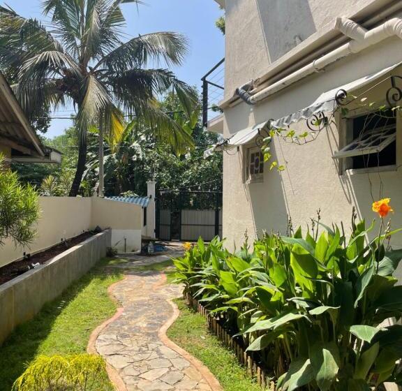 Habibi Hostel & Restaurant