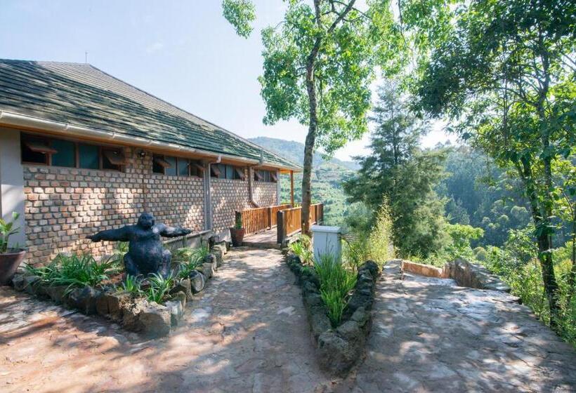 هتل Gorilla Leisure Lodge