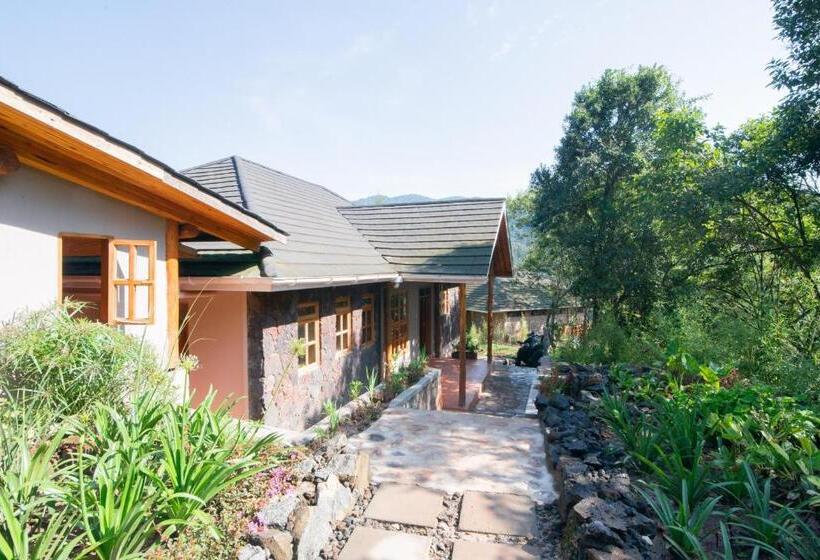 هتل Gorilla Leisure Lodge