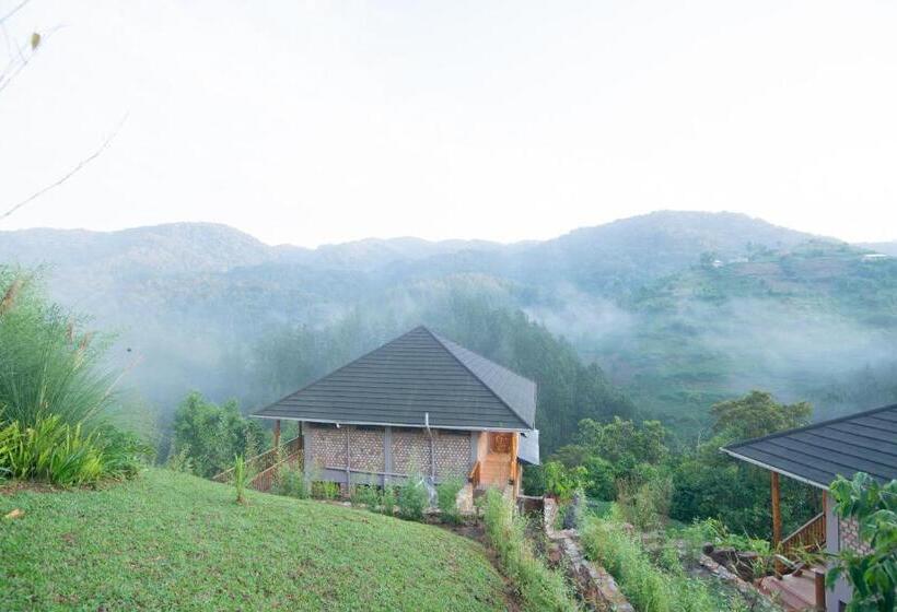 هتل Gorilla Leisure Lodge