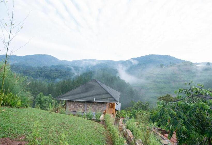 هتل Gorilla Leisure Lodge