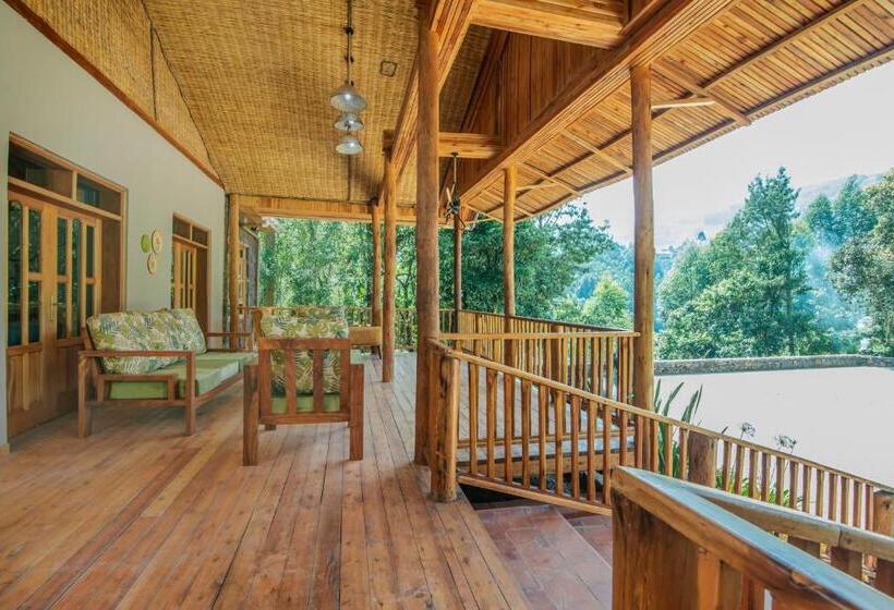 هتل Gorilla Leisure Lodge