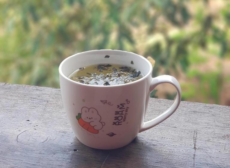 호스텔 Banlung Mountain View Treks & Tours