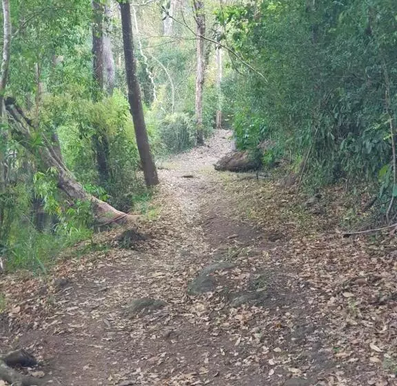 ユースホステル Banlung Mountain View Treks & Tours