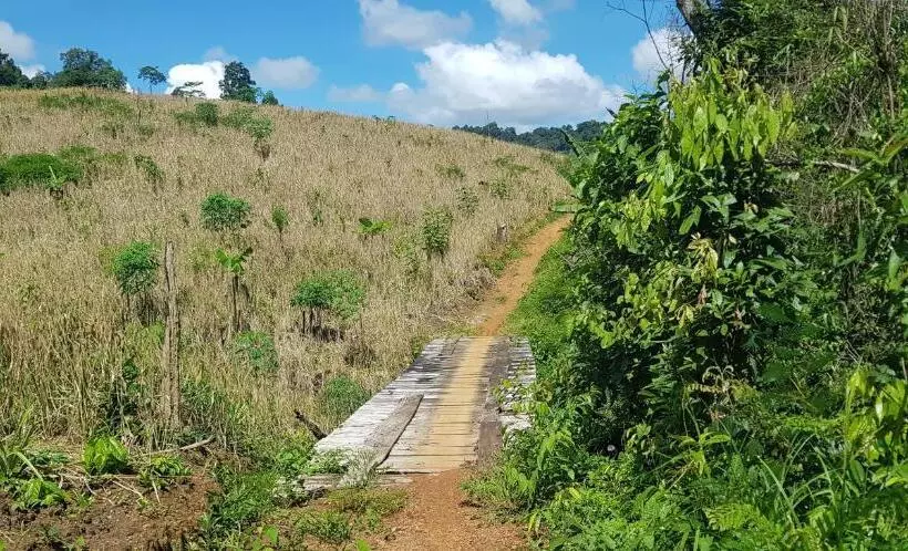 ユースホステル Banlung Mountain View Treks & Tours