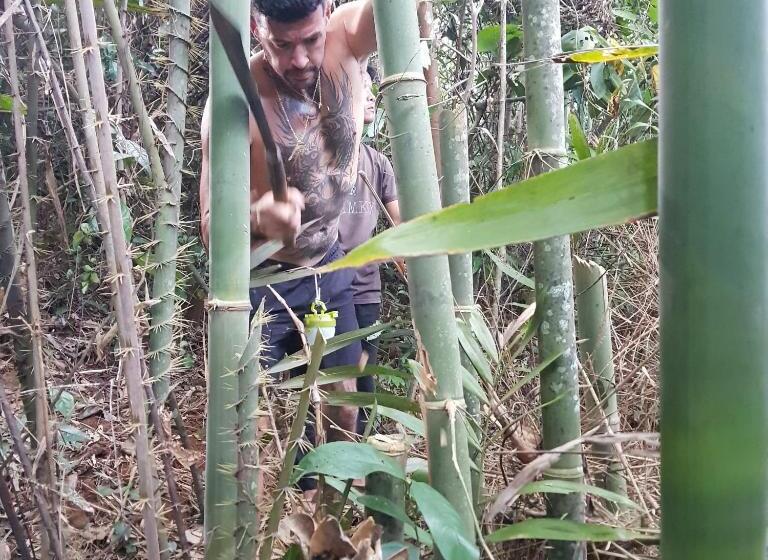 호스텔 Banlung Mountain View Treks & Tours