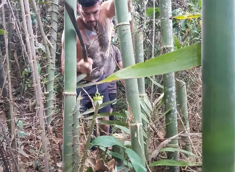 ユースホステル Banlung Mountain View Treks & Tours