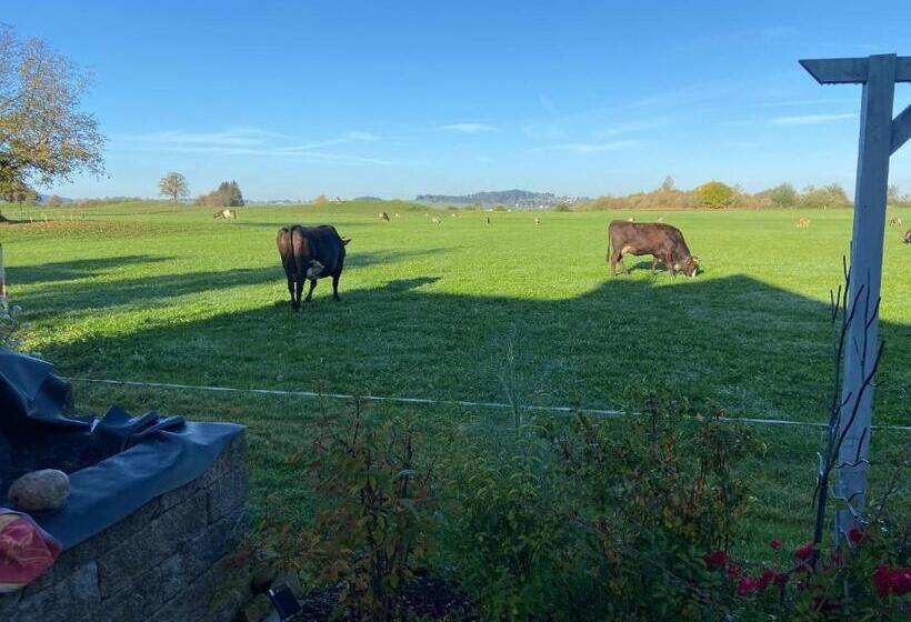 Bed and Breakfast Das Blaue Haus   Ein Sommertraum Und Ein Wintermärchen