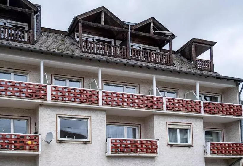 Hotelli Mike‘s Mosel Lodge