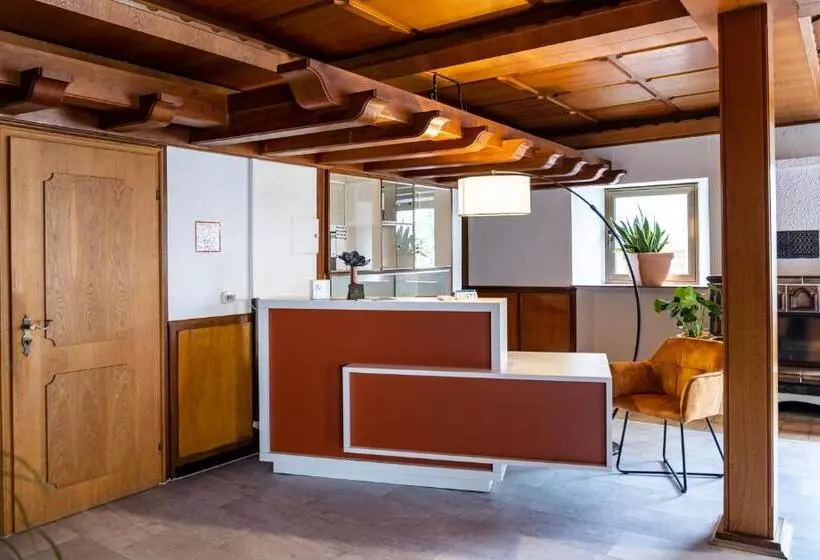 Hotelli Mike‘s Mosel Lodge