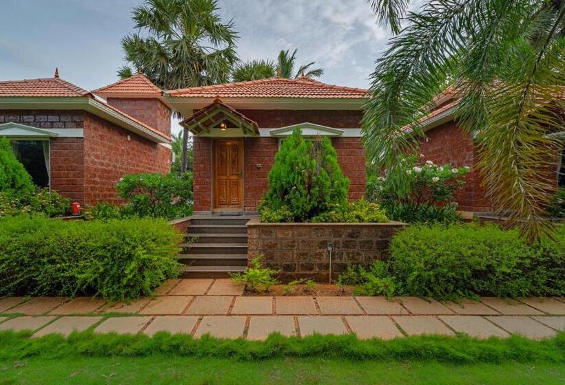 هتل Nathan Resort With Swimming Pool