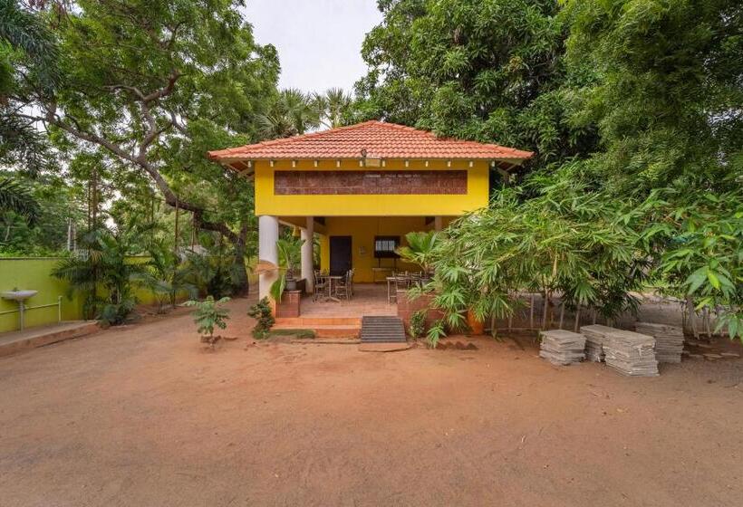 هتل Nathan Resort With Swimming Pool