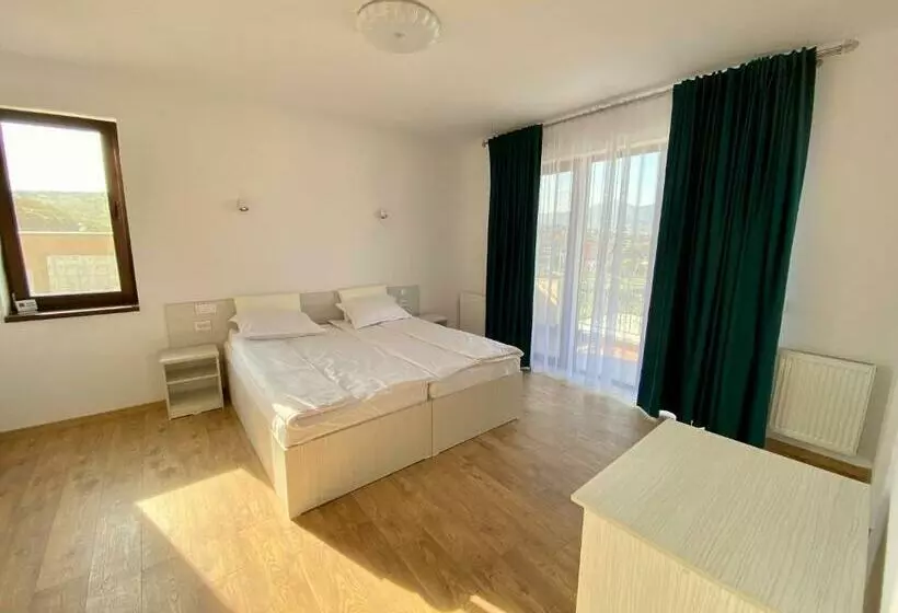 ペンション Plaiulgreenbike