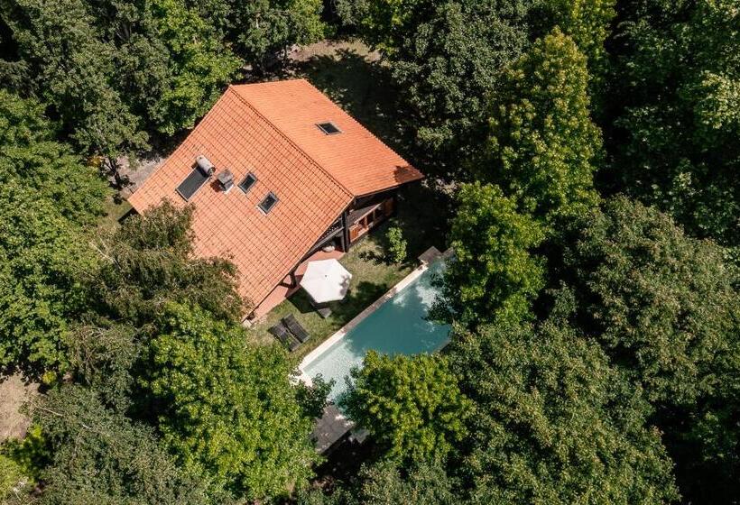 پانسیون Prado Do Xisto Chalé De Madeira A 7km De Braga