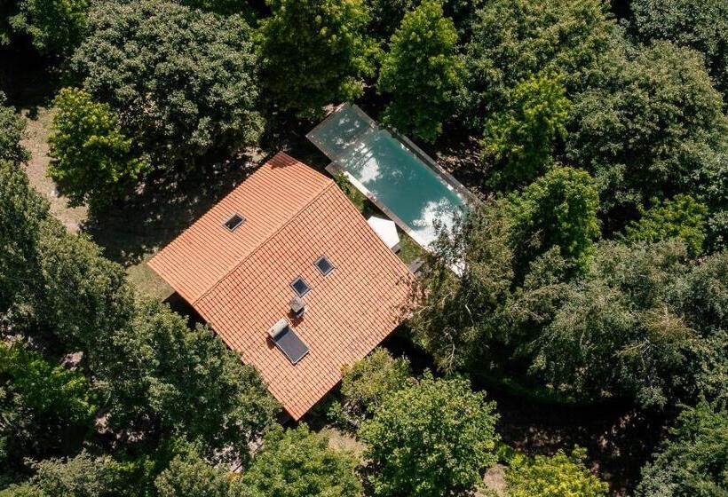 پانسیون Prado Do Xisto Chalé De Madeira A 7km De Braga