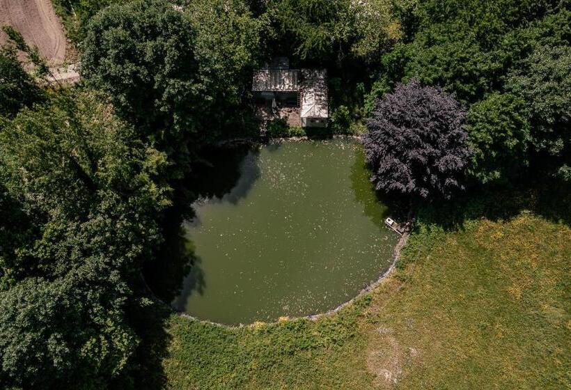 پانسیون Prado Do Xisto Chalé De Madeira A 7km De Braga