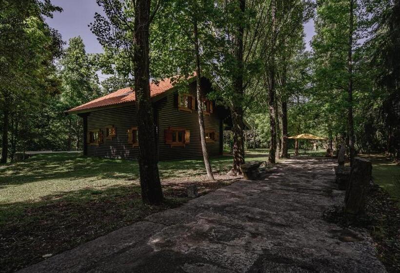 پانسیون Prado Do Xisto Chalé De Madeira A 7km De Braga