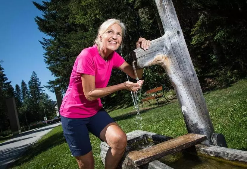 Gesundheit & Wellness Resort Bad Mitterndorf