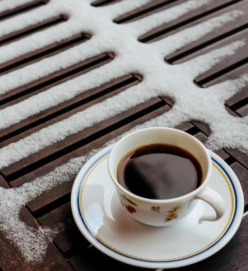 Hakuba Log Hotel Meteor