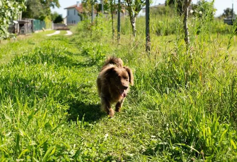 ホテル Agriturismo Da Natalino