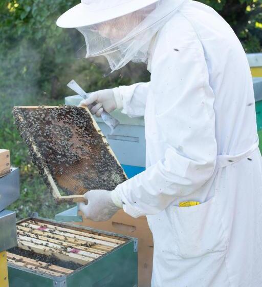 فندق Agriturismo Da Natalino