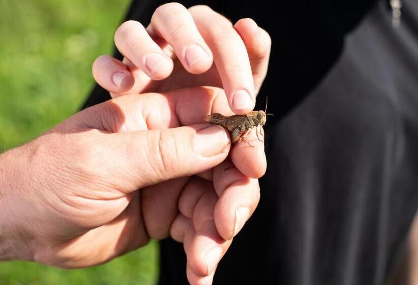 فندق Agriturismo Da Natalino