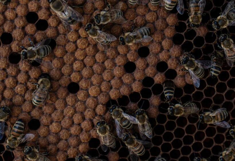 فندق Agriturismo Da Natalino