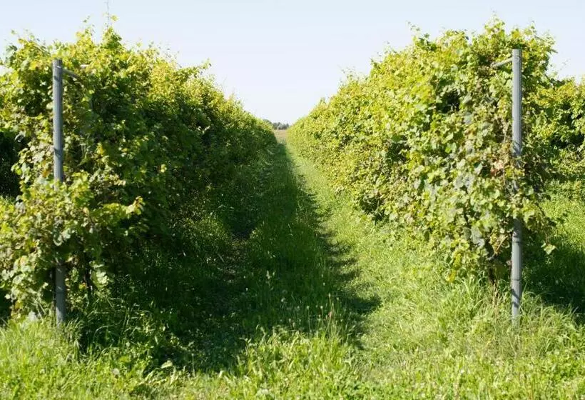ホテル Agriturismo Da Natalino